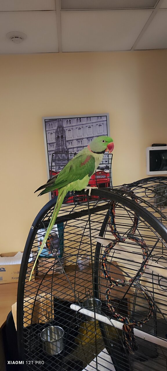 Гостиница Отель19 Мехзавод-158