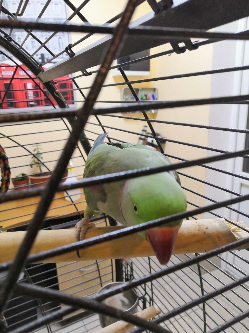 Гостиница Отель19 Мехзавод-166