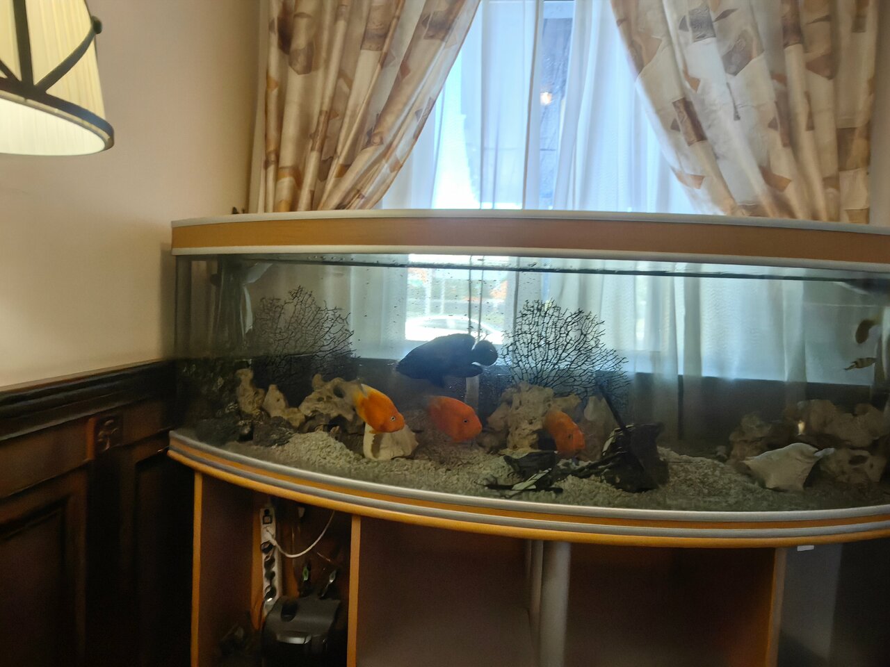 Гостиница Отель19 Мехзавод-152