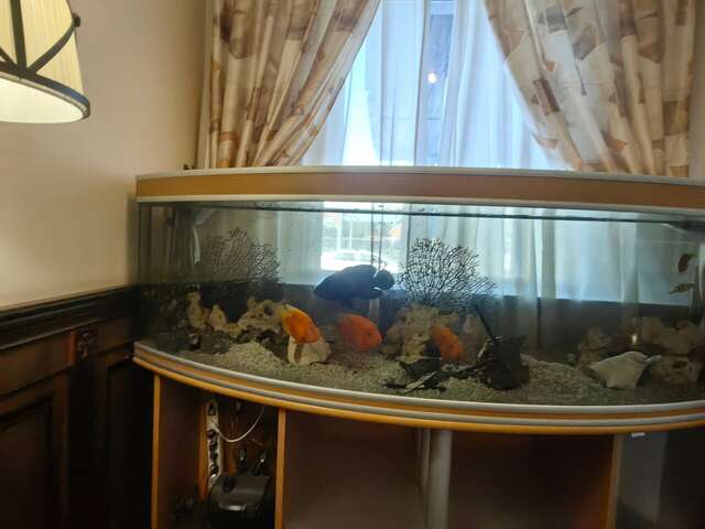 Гостиница Отель19 Мехзавод-151