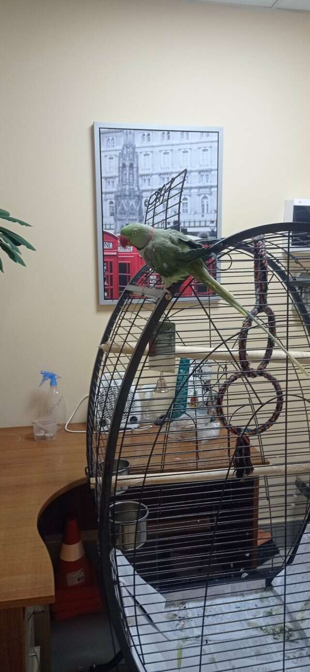 Гостиница Отель19 Мехзавод-172