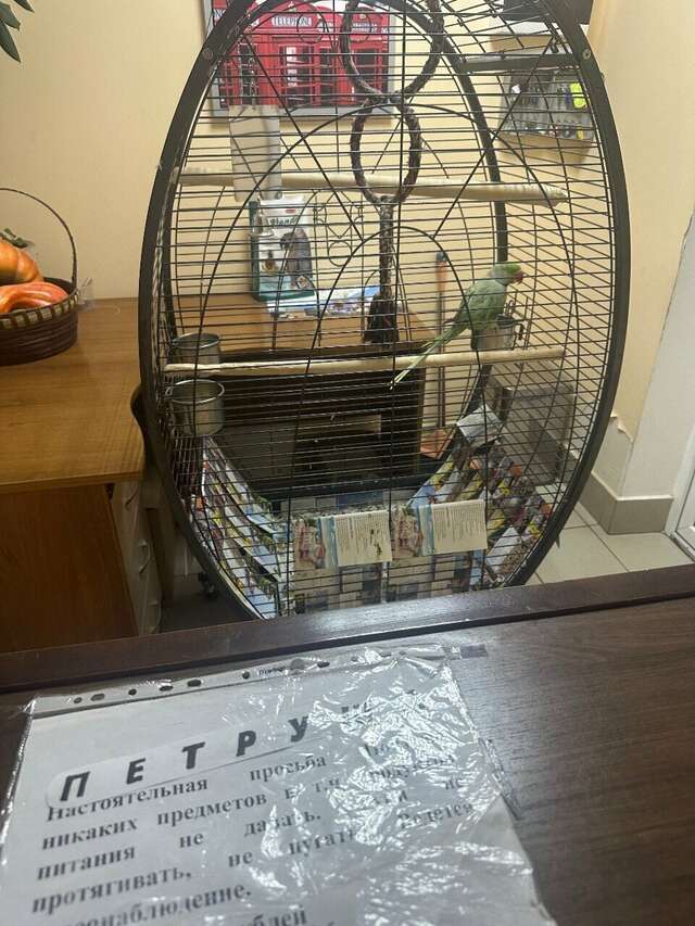 Гостиница Отель19 Мехзавод-170