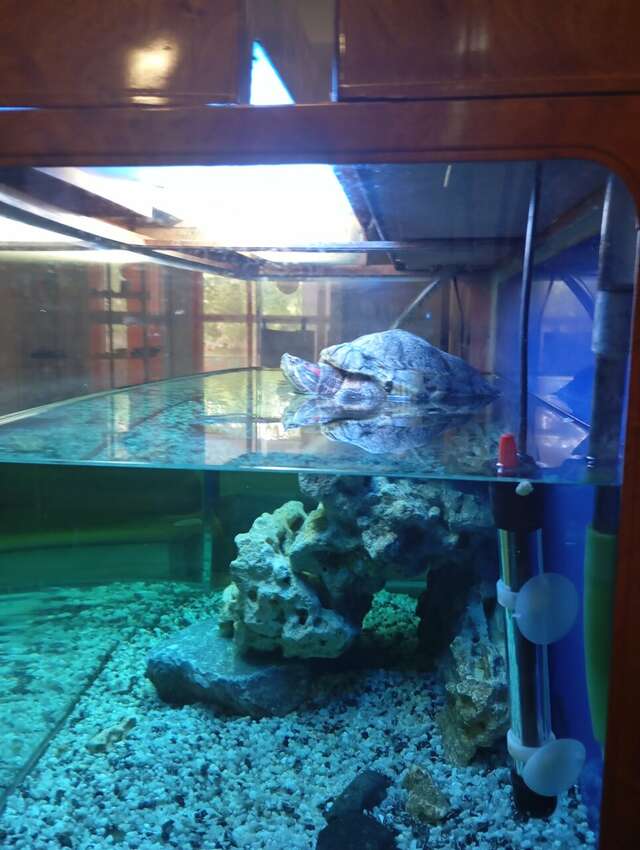 Гостиница Отель19 Мехзавод-133