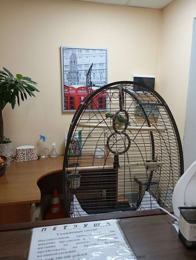 Гостиница Отель19 Мехзавод-160