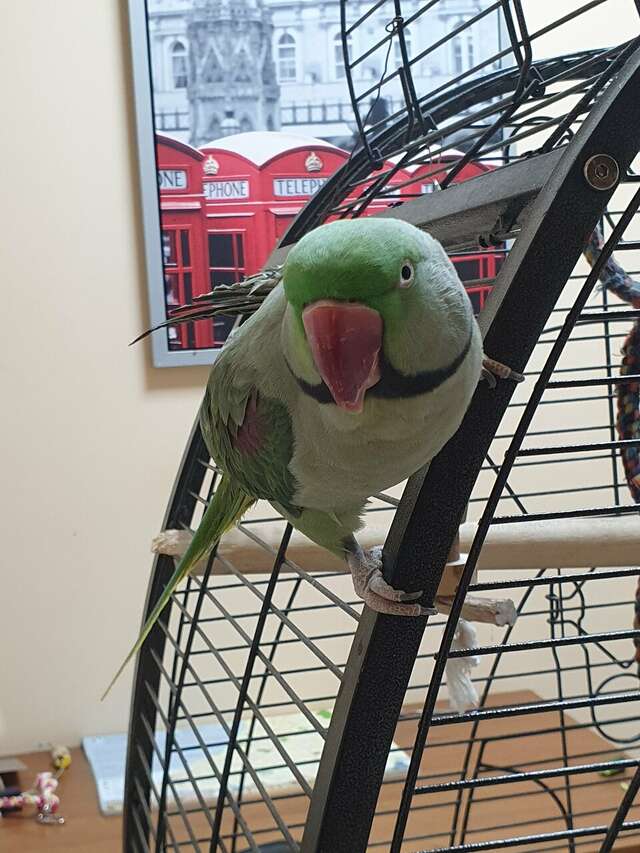 Гостиница Отель19 Мехзавод-132