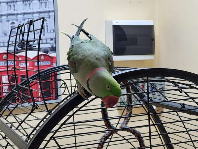 Гостиница Отель19 Мехзавод-156