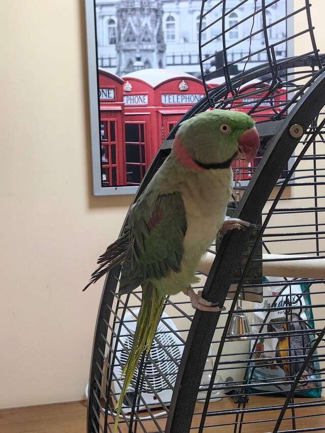 Гостиница Отель19 Мехзавод-171