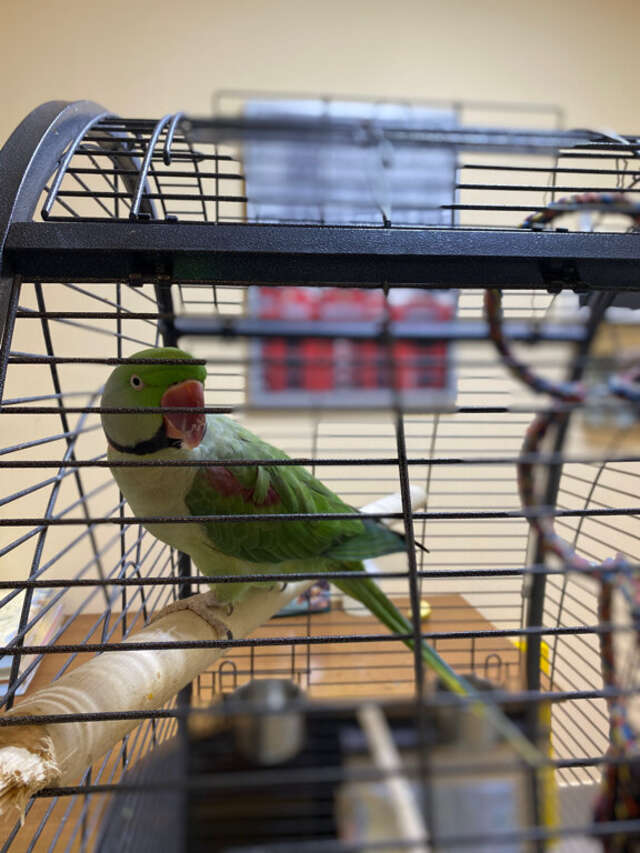 Гостиница Отель19 Мехзавод-155